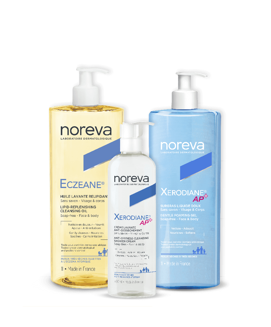 Noreva_Categorie_Etape1_896x1080