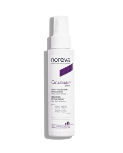 Repairing drying spray